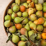 Trulli 18cinquantanove Séjour à la campagne Cisternino