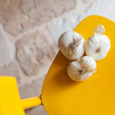 Trulli 18cinquantanove チステルニーノ