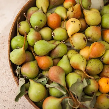 Trulli 18cinquantanove Hétvégi ház Cisternino