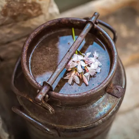 Trulli 18cinquantanove * Cisternino