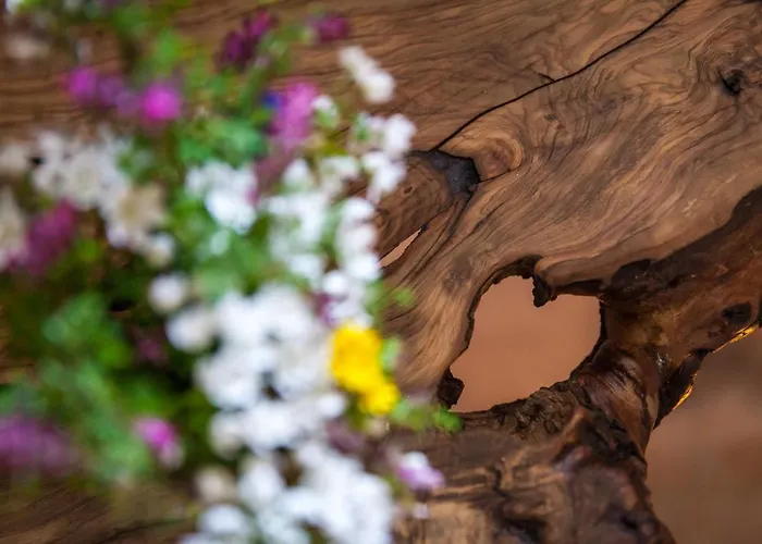 Landhuis Trulli 18cinquantanove *