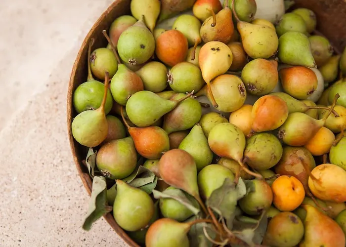 Trulli 18cinquantanove Landhuis Cisternino