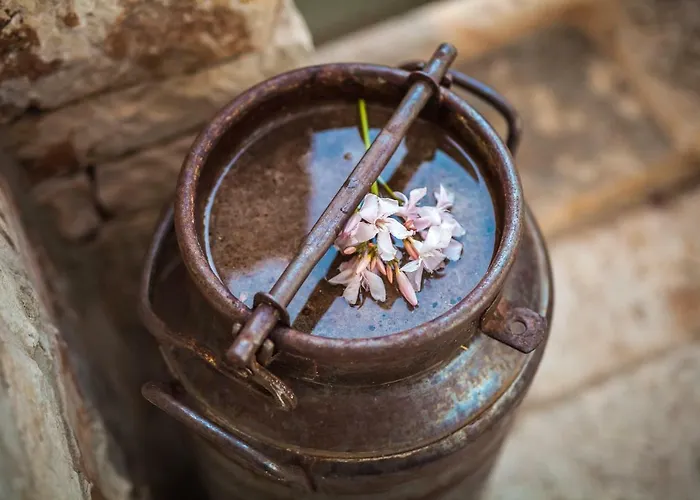 Trulli 18cinquantanove * Cisternino